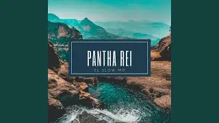 Pantha Rei