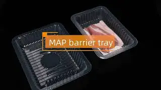 Supermarket Disposable Trays for Fresh Meat Packing Tray Plastic Blister Food Packing