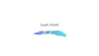 Audit Shield