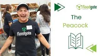 Joe's Weekly Wisdom - The Peacock and Superbowl Ads
