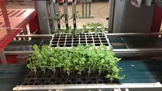 Da Ros - Transplanter - TP MT Grafting