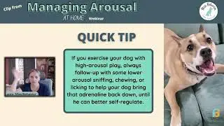Managing Arousal In Dogs: Quick Tip