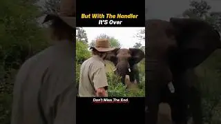 Elephant &ndash; Human Conflicts Caught on Camera