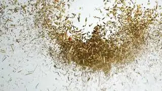 Leim&uuml;ller Schaffutter Ziegenfutter M&uuml;sli