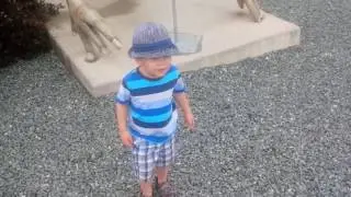 niko and kyra dinosaurs