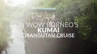 Wow Borneo Orangutan Experience in Tanjung Puting National Park on board the Kumai