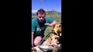 How to manage Sward Under Vines Organic Viticulture