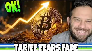 Crypto News | Bitcoin Price Bottoms As Tariff Fears Fade! What's Next For Bitcoin?