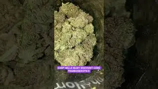 MJ MINTZ FROM SHOP HELLO MARY DISCOUNT CODE FRANKOGEXOTICS #thcasmallbuds #shophellomary #flower