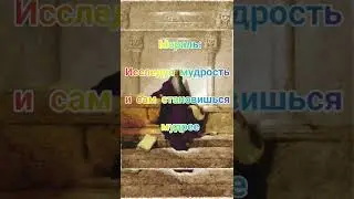 #притчи #мудрость #мораль#лучшее #поучительныеистории #новости #solomon #club #shorts