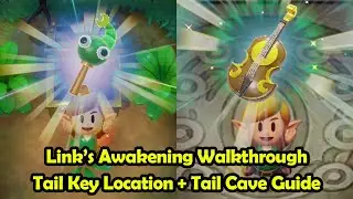 Прохождение пещеры Тейл и ключа Тейл &mdash; The Legend of Zelda: Link's Awakening (Switch)