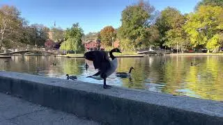 Pittsburgh's Oldest and Most Enchanting Park: Allegheny Commons Park, North Side