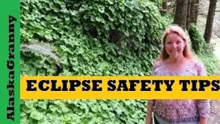 Eclipse Safety Tips and Gear