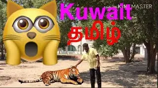 Kuwait Tamil video tamil travel vlog