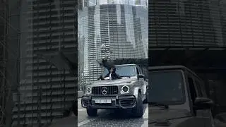 #riswanfreestyle #trending #viralvideo #explorepage #shortvideo #shorts