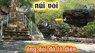 Núi voi :