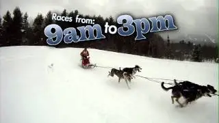 Sled Dog Dash 2013 CAXS11727 HQ Online