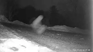 ROD LOOKS LIKE TWO CHANGES TO ONE 30F DEGREES 1/10 SPEED skyfish or rods in the adirondacks