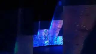 Tranquil #Carwash Car Interior POV #Short