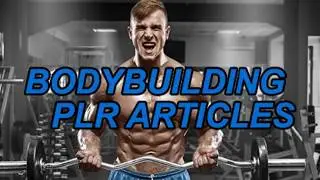 Buy High Quality PLR Articles on hugeplr.com