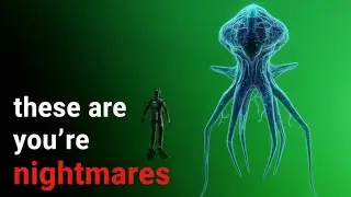 These 5 Squids Will Show You Nightmares 