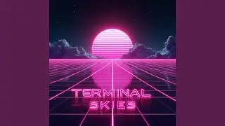 Terminal Skies