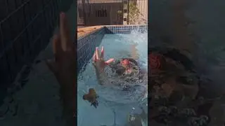 DESAFIO NA PISCINA: CA&Ccedil;ANDO LOL EM 25 SEGUNDOS