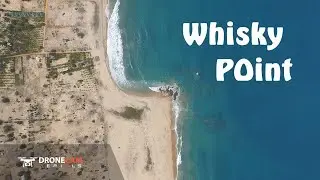 Whiskey Point Surfers (Arugam Bay)