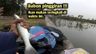 Selalu potensi !!! Ini waktu yg tepat mancing belanak pinggiran.