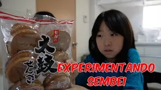 EXPERIMENTANDO SEMBEI - 03082025