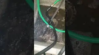 Commercial carpet cleaning - it's dirty!