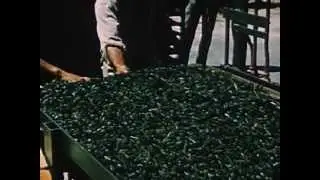 From The Ground Up - Public Domain Blockbuster!