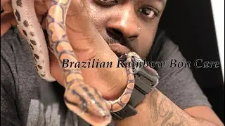 Brazilian Rainbow Boa Care! | Slight Ramble