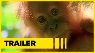Watch the Our Planet Trailer | Super Bowl Ad