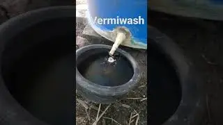 Vermiwash Harvesting process