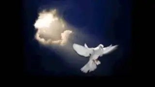 Set Free -Mark Willard (Choose Love)