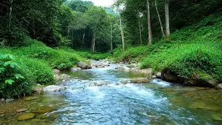 Calm Your Soul &ndash; Beautiful Enchanted Water River Sound in Hidden River &ndash; Deep Peace