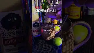 100 Mules - Day 11 - Snowball Mule