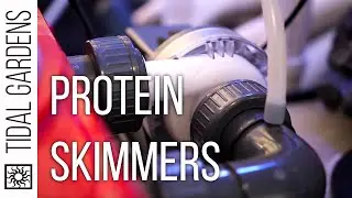 A Beginners Guide to Protein Skimmers