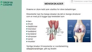 Meniskskader