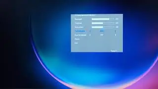 Mobile Pixels Duex Lite Portable Monitor - Settings & Options