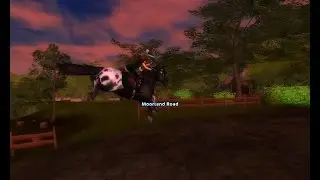 SSO - Buying a new horse - Dangercake