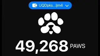 PAWS 🐾 update on listing and mining end 👌🏾