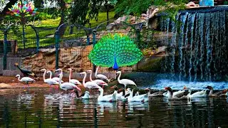 وادي الطيور la vallée des oiseaux agadir maroc Bird Valley