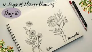 How to draw flowers - Day 10. Marigold flower drawing tutorial for beginners.