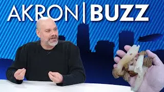 The Mushroom Hunter - Don King