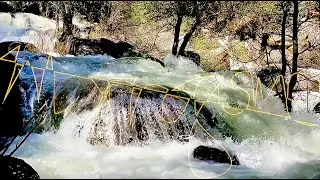 The Pull of the River 2025 Metrognome Classic