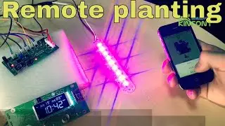 smart flower plant pot DIY project sample for home automation