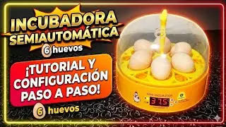 ⚙️ Полуавтоматический инкубатор на 6 яиц. Учебник и конфигурация