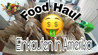 Food Haul - Einkaufen in Amerika 💵🍎🍫🍞🇺🇸
